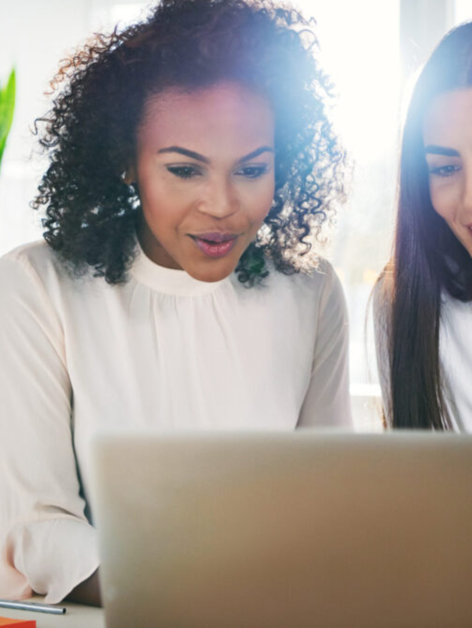 Successful dedicated young businesswomen working together on a shared laptop computer reading the screen with pleased smiles, sun flare behind